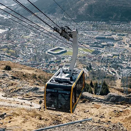 クオリティ エドワルド グリーグ