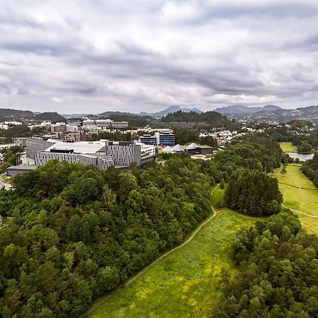 クオリティ エドワルド グリーグ